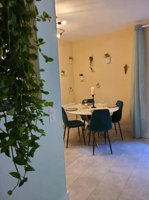 Joli Studio Renove Situe Au Pied Des Thermes Amélie-les-Bains-Palalda Extérieur photo