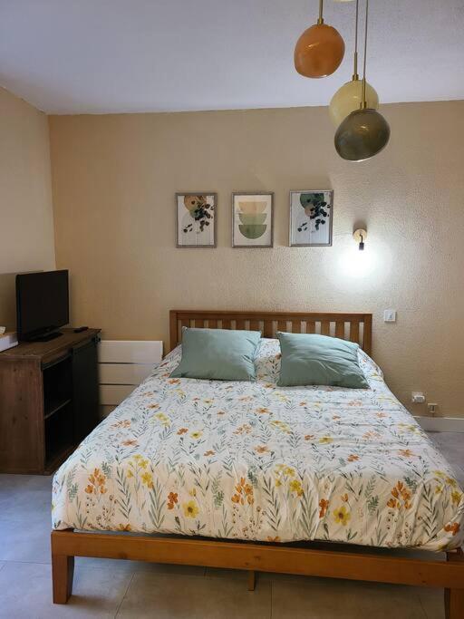 Joli Studio Renove Situe Au Pied Des Thermes Amélie-les-Bains-Palalda Extérieur photo